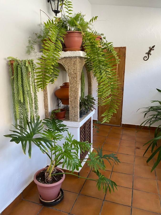 Villa Casa En Mogan à Las Burrillas Extérieur photo